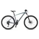 Mountainbike 4EVER FRONTBEE 29'' - Modell 2025 - foggy/silver
