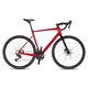 Gravel-Rad 4EVER Grizzly Race 28" – Modell 2026 - dragon green - flame red