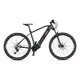 Mountainbike 4EVER Exstream Team 29" - chameleon/hologram
