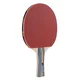 Joola Team School Tischtennisschläger