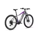 Mountainbike Crussis e-Fionna 9.10 720Wh 29" - Modell 2025