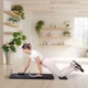 Pilates reformer inSPORTline Trancer Basic