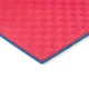 inSPORTline Sazegul 100x100x2 cm Puzzle Tatami-Matte - červeno-modrá, vzor 5 proužků