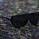 Sport-Sonnenbrille Tripoint Reschen - Matt Black Smoke Cat.3