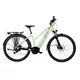 Trekking-Elektrofahrrad Levit Columba Bosch Perf. 625 28" - Modell 2024 - Matt Minze