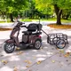 inSPORTline Zorica Elektro-Dreirad mit Anhänger