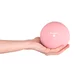 inSPORTline Yoga Ball 1 kg
