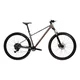 Mountainbike Kross Level X100 29" – Modell 2026 - šedá / hnědá / matný - šedá / hnědá / matný
