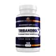 Testosteron-Booster Androrganics Tribandrol NEW 140 Kapseln