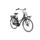 Damen Stadt E-Bike Llobe Rosendaal 3 schwarz 36V / 13Ah
