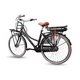 Damen Stadt E-Bike Llobe Rosendaal 3 schwarz 36V / 15,6 Ah