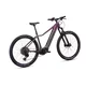 Mountain E-Bike Crussis e-Fionna 10.11 715Wh 29" - Modell 2026