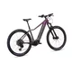 Mountain E-Bike Crussis e-Fionna 10.11 894Wh 29" - Modell 2026