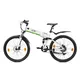 Falt E-Mountainbike Llobe FML 830 white