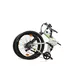 Falt E-Mountainbike Llobe FML 830 white