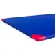 inSPORTline Roshar T90 200x120x5 cm Gymnastikmatte - blau