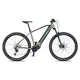 Mountainbike 4EVER Exstream PRO 820Wh 29" - Modell 2025 - snake green/hologram