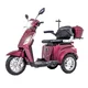 inSPORTline Zorica Elektro-Dreirad - weinrot